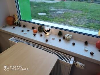 IMG_20241014_082147_254