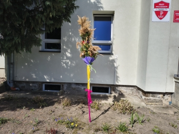 IMG_20250408_103648414_HDR