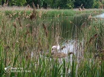 IMG_20250521_104336_576