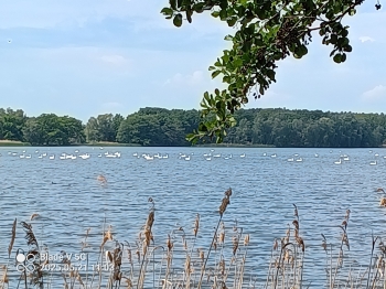 IMG_20250521_110319_974