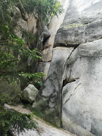 494817150_603225872200038_1340988093295500272_n