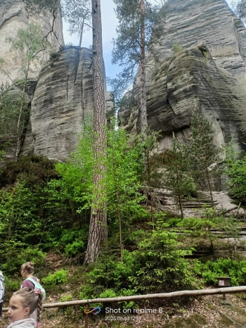 494822182_1756630479066333_5803749898146560501_n