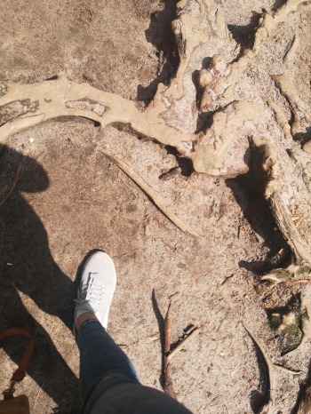 494828110_1066109782065417_1996766840430540339_n