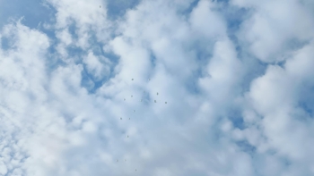 6d463835-e325-4b3a-a879-73195e2c82f0