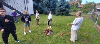 42384928-63f2-4105-a934-64251b64375a