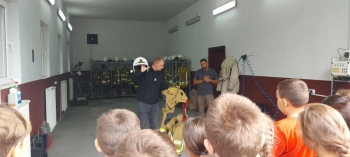 f8530dbc-eae2-4f1e-9534-cbb8cd8bf910