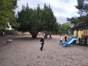 IMG_20250918_094231690