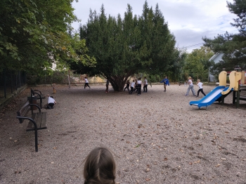 IMG_20250918_094218334