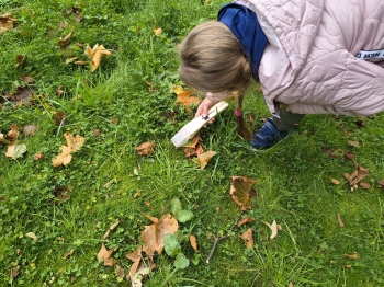 IMG_20250929_103257039