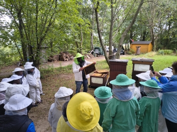 IMG_20250929_120837194