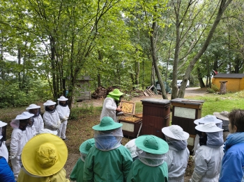 IMG_20250929_120727378