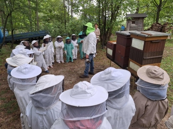 22045c72-9c72-4456-a80b-e8bfad7bde35