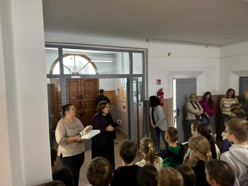 fd143998-56d6-4061-910b-ee8b084de78a