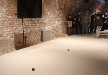 IMG_20251105_105551167