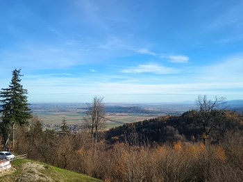 IMG_20251105_124757744