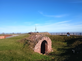 IMG_20251105_131943224