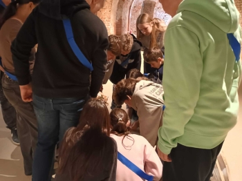 2b3da398-bd77-477c-8853-08c32dd9ffbe