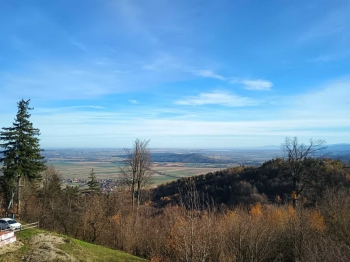 bd04626f-56f4-4186-82e7-fcf288fd5552