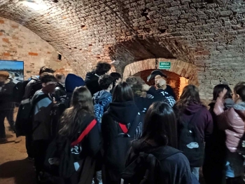 d9273242-b8e2-46b3-94f7-a96e4c962b47