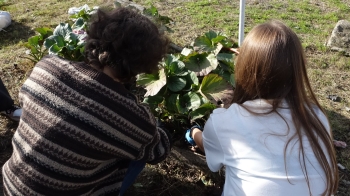 901754ec-e598-409b-a13a-0b079edb71ba