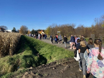 85b7786e-468c-4168-be0b-62521547adef