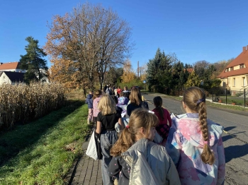 b422c211-46bc-48ee-a822-289fa8bfb4bf