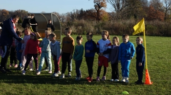 ba29611f-f60a-46cf-807d-81aa193efe33