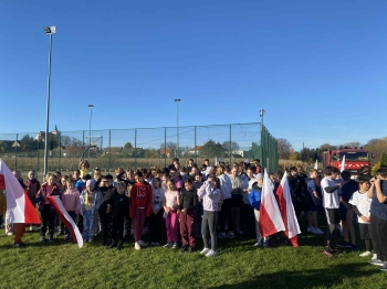 c5185259-de31-421a-8263-4c33f3456e43