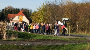 ce5a9ce8-11de-44a8-ba7b-8bcd3da10444