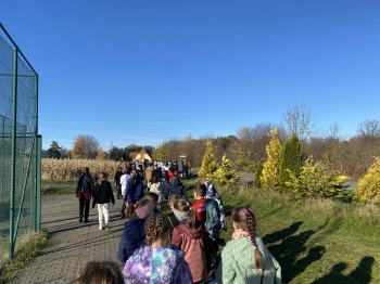 d2138d7d-a0cf-483d-82c2-aff7e74b926c