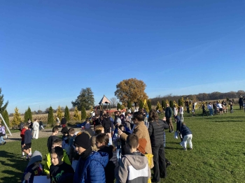 feec8dbc-2c5c-407d-bd73-57a8dde2cc0a