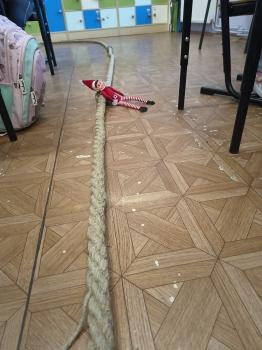 IMG_20251210_084225772