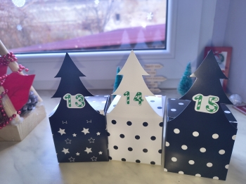 IMG_20251212_134002910