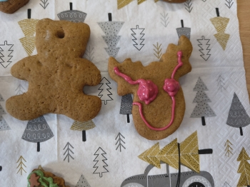 IMG_20251217_120740382