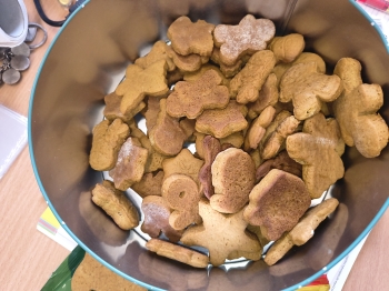 IMG_20251217_120232997