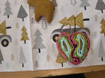 IMG_20251217_120714454