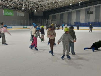 bbfd9b4d-d0e5-4195-a756-17e8fc41b476