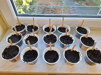 c305b458-57ac-442c-be7c-b32a088d35aa