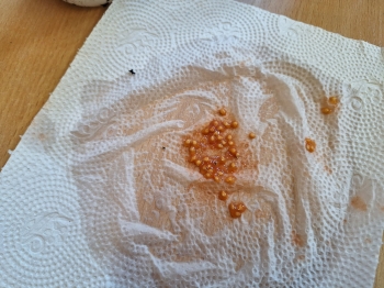 fea743ac-9971-48d0-b8e1-014c07a2ca57