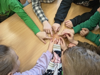 IMG_20260312_084954837_HDR