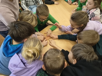 IMG_20260312_084938787_HDR