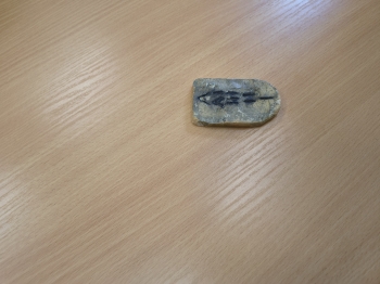 IMG_20260312_085247370