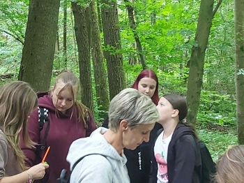 31ee0a12-415b-41de-be21-1f708cd79e22