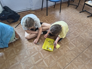 IMG_20260617_104307315_HDR