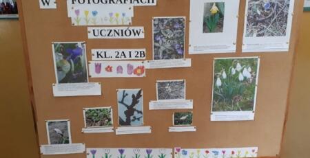 Wystawa przyrodnicza